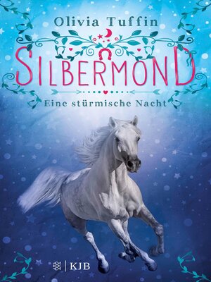 cover image of Silbermond